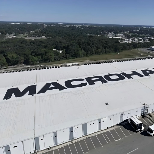 macrohard elon musk